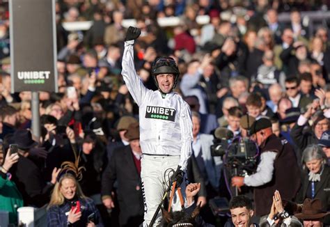 cheltenham festival champion hurdle|Constitution Hill, Honeysuckle get famous wins at Cheltenham.